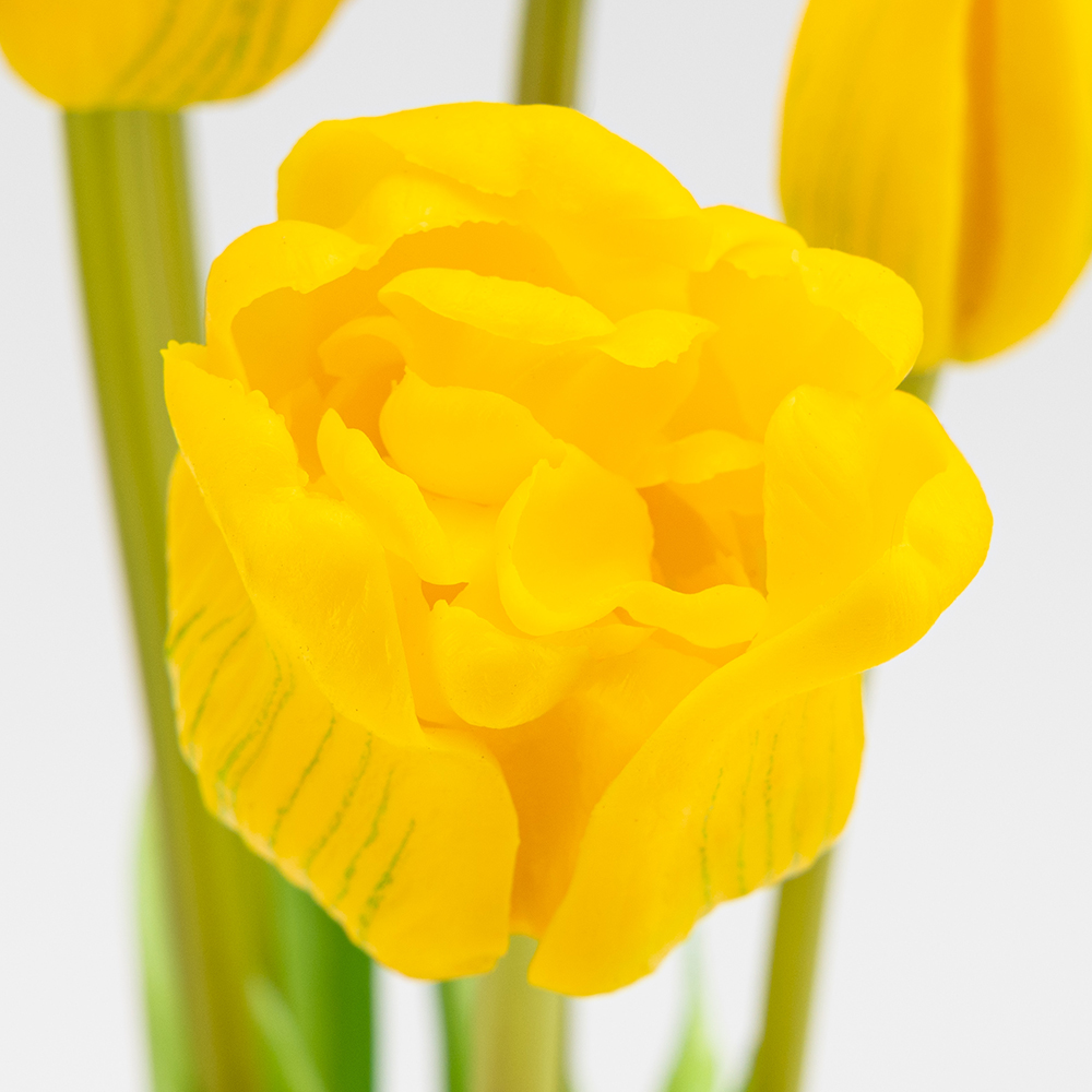 ФОТО КАРТИНКИ ЗОБРАЖЕННЯ Букет латексних тюльпанів, 5 бутонів, жовтий, 49 см BOHODAR 2026-005/yellow РОЗДРІБ ОПТ ГУРТ ГУРТОМ ОПТОМ! З ЄВРОПИ! ЯКІСТЬ! Купити Львів Характеристики Ціна Оплата Доставка "БОГОДАР" ІНТЕРНЕТ-МАГАЗИН Огляд Рейтинг Порівняння Як вибрати Якісний