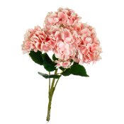 ФОТО КАРТИНКИ ЗОБРАЖЕННЯ Букет "Гортензія коралова" BOHODAR 8103-010 РОЗДРІБ ОПТ ГУРТ ГУРТОМ ОПТОМ! З ЄВРОПИ! ЯКІСТЬ! Купити Львів Характеристики Ціна Оплата Доставка "БОГОДАР" ІНТЕРНЕТ-МАГАЗИН Огляд Рейтинг Порівняння Як вибрати Якісний