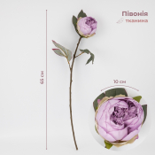 ФОТО КАРТИНКИ ЗОБРАЖЕННЯ Штучна півонія, бузкова, 65 см BOHODAR 9249-002 РОЗДРІБ ОПТ ГУРТ ГУРТОМ ОПТОМ! З ЄВРОПИ! ЯКІСТЬ! Купити Львів Характеристики Ціна Оплата Доставка "БОГОДАР" ІНТЕРНЕТ-МАГАЗИН Огляд Рейтинг Порівняння Як вибрати Якісний