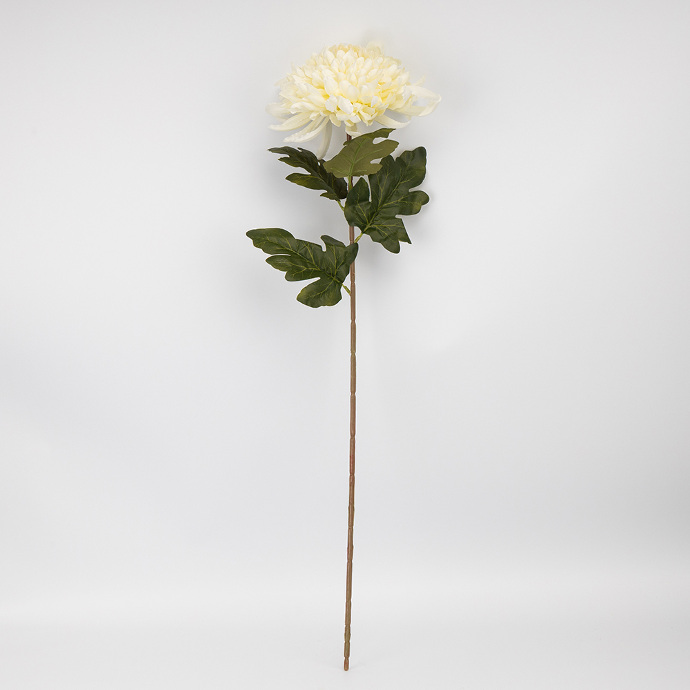 ФОТО КАРТИНКИ ЗОБРАЖЕННЯ Штучна хризантема, кремова, 75 см BOHODAR 2026-012/cream РОЗДРІБ ОПТ ГУРТ ГУРТОМ ОПТОМ! З ЄВРОПИ! ЯКІСТЬ! Купити Львів Характеристики Ціна Оплата Доставка "БОГОДАР" ІНТЕРНЕТ-МАГАЗИН Огляд Рейтинг Порівняння Як вибрати Якісний