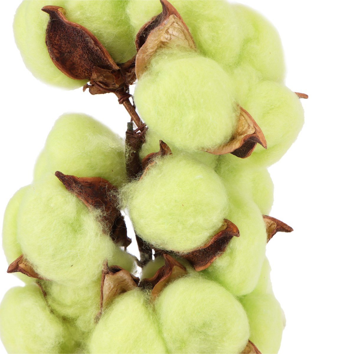 ФОТО КАРТИНКИ ЗОБРАЖЕННЯ Бавовна "Ніжна хмарка", 45 см BOHODAR 6018-154 РОЗДРІБ ОПТ ГУРТ ГУРТОМ ОПТОМ! З ЄВРОПИ! ЯКІСТЬ! Купити Львів Характеристики Ціна Оплата Доставка "БОГОДАР" ІНТЕРНЕТ-МАГАЗИН Огляд Рейтинг Порівняння Як вибрати Якісний