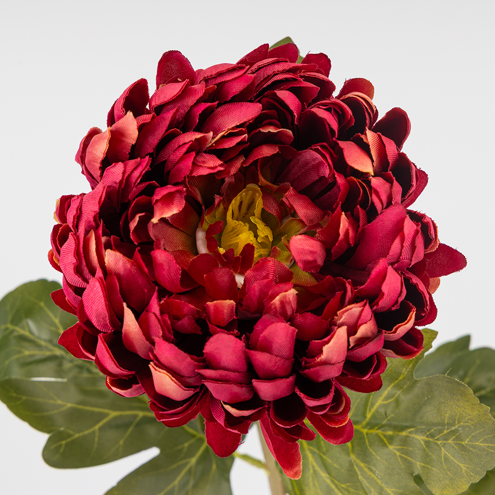 ФОТО КАРТИНКИ ЗОБРАЖЕННЯ Штучна хризантема, бордова, 72 см BOHODAR 2026-011/wine РОЗДРІБ ОПТ ГУРТ ГУРТОМ ОПТОМ! З ЄВРОПИ! ЯКІСТЬ! Купити Львів Характеристики Ціна Оплата Доставка "БОГОДАР" ІНТЕРНЕТ-МАГАЗИН Огляд Рейтинг Порівняння Як вибрати Якісний