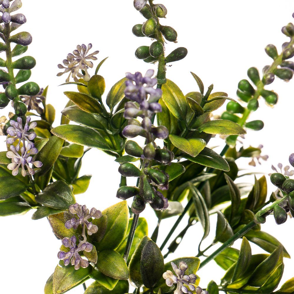 ФОТО КАРТИНКИ ЗОБРАЖЕННЯ Квітка Аконіт фіолетовий BOHODAR 2001-009BL РОЗДРІБ ОПТ ГУРТ ГУРТОМ ОПТОМ! З ЄВРОПИ! ЯКІСТЬ! Купити Львів Характеристики Ціна Оплата Доставка "БОГОДАР" ІНТЕРНЕТ-МАГАЗИН Огляд Рейтинг Порівняння Як вибрати Якісний