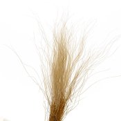 ФОТО КАРТИНКИ ЗОБРАЖЕННЯ Ковилаа Сіра, стабілізований BOHODAR 8213-030 РОЗДРІБ ОПТ ГУРТ ГУРТОМ ОПТОМ! З ЄВРОПИ! ЯКІСТЬ! Купити Львів Характеристики Ціна Оплата Доставка "БОГОДАР" ІНТЕРНЕТ-МАГАЗИН Огляд Рейтинг Порівняння Як вибрати Якісний