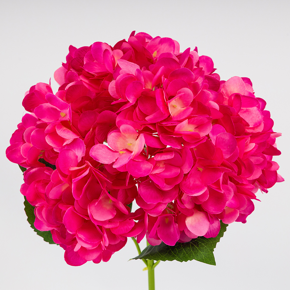 ФОТО КАРТИНКИ ЗОБРАЖЕННЯ Штучна гортензія, яскраво-рожева, 67 см BOHODAR 2026-009/plum red РОЗДРІБ ОПТ ГУРТ ГУРТОМ ОПТОМ! З ЄВРОПИ! ЯКІСТЬ! Купити Львів Характеристики Ціна Оплата Доставка "БОГОДАР" ІНТЕРНЕТ-МАГАЗИН Огляд Рейтинг Порівняння Як вибрати Якісний