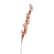 ФОТО КАРТИНКИ ЗОБРАЖЕННЯ Кизильник Корал , рожевий 1 м BOHODAR 5000-004/PINK РОЗДРІБ ОПТ ГУРТ ГУРТОМ ОПТОМ! З ЄВРОПИ! ЯКІСТЬ! Купити Львів Характеристики Ціна Оплата Доставка "БОГОДАР" ІНТЕРНЕТ-МАГАЗИН Огляд Рейтинг Порівняння Як вибрати Якісний