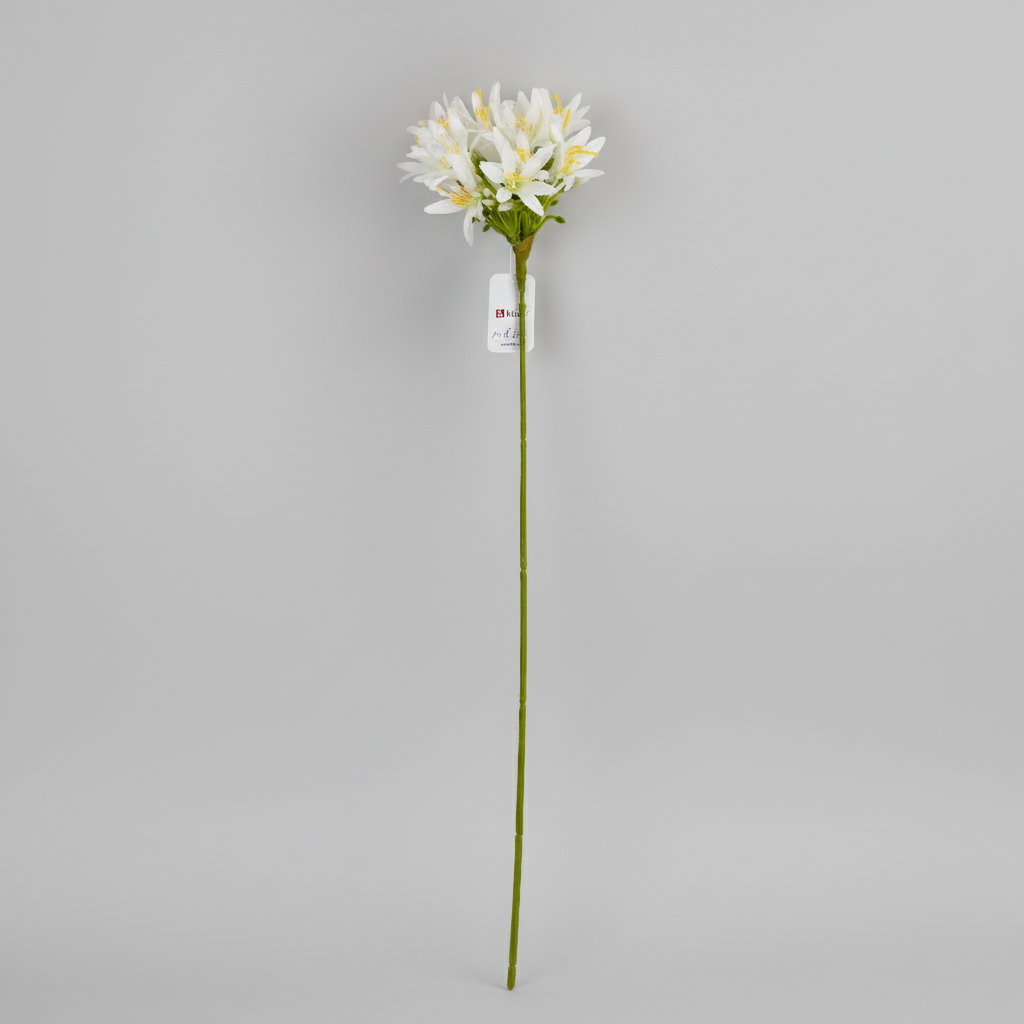 ФОТО КАРТИНКИ ЗОБРАЖЕННЯ Агапантус штучний, білий, 57 см BOHODAR 2028-018/white РОЗДРІБ ОПТ ГУРТ ГУРТОМ ОПТОМ! З ЄВРОПИ! ЯКІСТЬ! Купити Львів Характеристики Ціна Оплата Доставка "БОГОДАР" ІНТЕРНЕТ-МАГАЗИН Огляд Рейтинг Порівняння Як вибрати Якісний