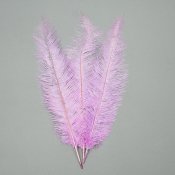 ФОТО КАРТИНКИ ЗОБРАЖЕННЯ Страусине перо 55 см світло-фіолетовий BOHODAR 8501-001/light-purple РОЗДРІБ ОПТ ГУРТ ГУРТОМ ОПТОМ! З ЄВРОПИ! ЯКІСТЬ! Купити Львів Характеристики Ціна Оплата Доставка "БОГОДАР" ІНТЕРНЕТ-МАГАЗИН Огляд Рейтинг Порівняння Як вибрати Якісний
