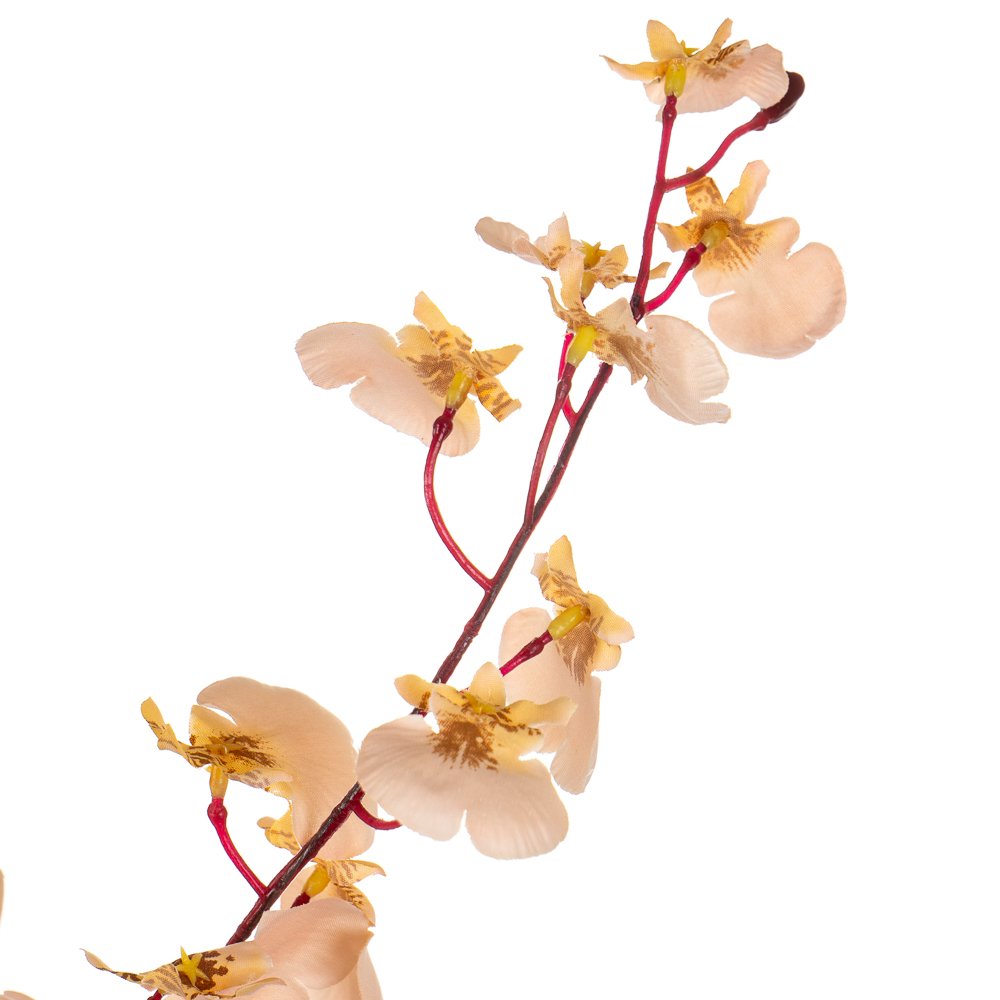 ФОТО КАРТИНКИ ЗОБРАЖЕННЯ Букет "Тропічні квіти", пастельний BOHODAR 8114-025 РОЗДРІБ ОПТ ГУРТ ГУРТОМ ОПТОМ! З ЄВРОПИ! ЯКІСТЬ! Купити Львів Характеристики Ціна Оплата Доставка "БОГОДАР" ІНТЕРНЕТ-МАГАЗИН Огляд Рейтинг Порівняння Як вибрати Якісний