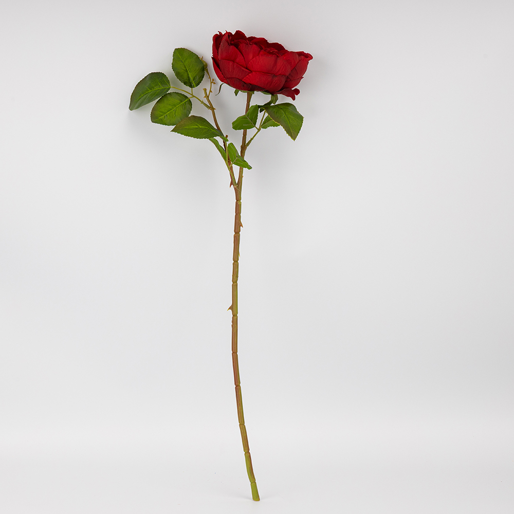 ФОТО КАРТИНКИ ЗОБРАЖЕННЯ Троянда піоновидна, червона, 61 см BOHODAR 2026-018/red РОЗДРІБ ОПТ ГУРТ ГУРТОМ ОПТОМ! З ЄВРОПИ! ЯКІСТЬ! Купити Львів Характеристики Ціна Оплата Доставка "БОГОДАР" ІНТЕРНЕТ-МАГАЗИН Огляд Рейтинг Порівняння Як вибрати Якісний