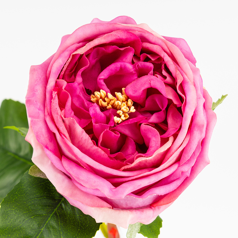 ФОТО КАРТИНКИ ЗОБРАЖЕННЯ Штучна піоновидна троянда з ефектом живого дотику, рожева, 53 см BOHODAR 2025-024 РОЗДРІБ ОПТ ГУРТ ГУРТОМ ОПТОМ! З ЄВРОПИ! ЯКІСТЬ! Купити Львів Характеристики Ціна Оплата Доставка "БОГОДАР" ІНТЕРНЕТ-МАГАЗИН Огляд Рейтинг Порівняння Як вибрати Якісний