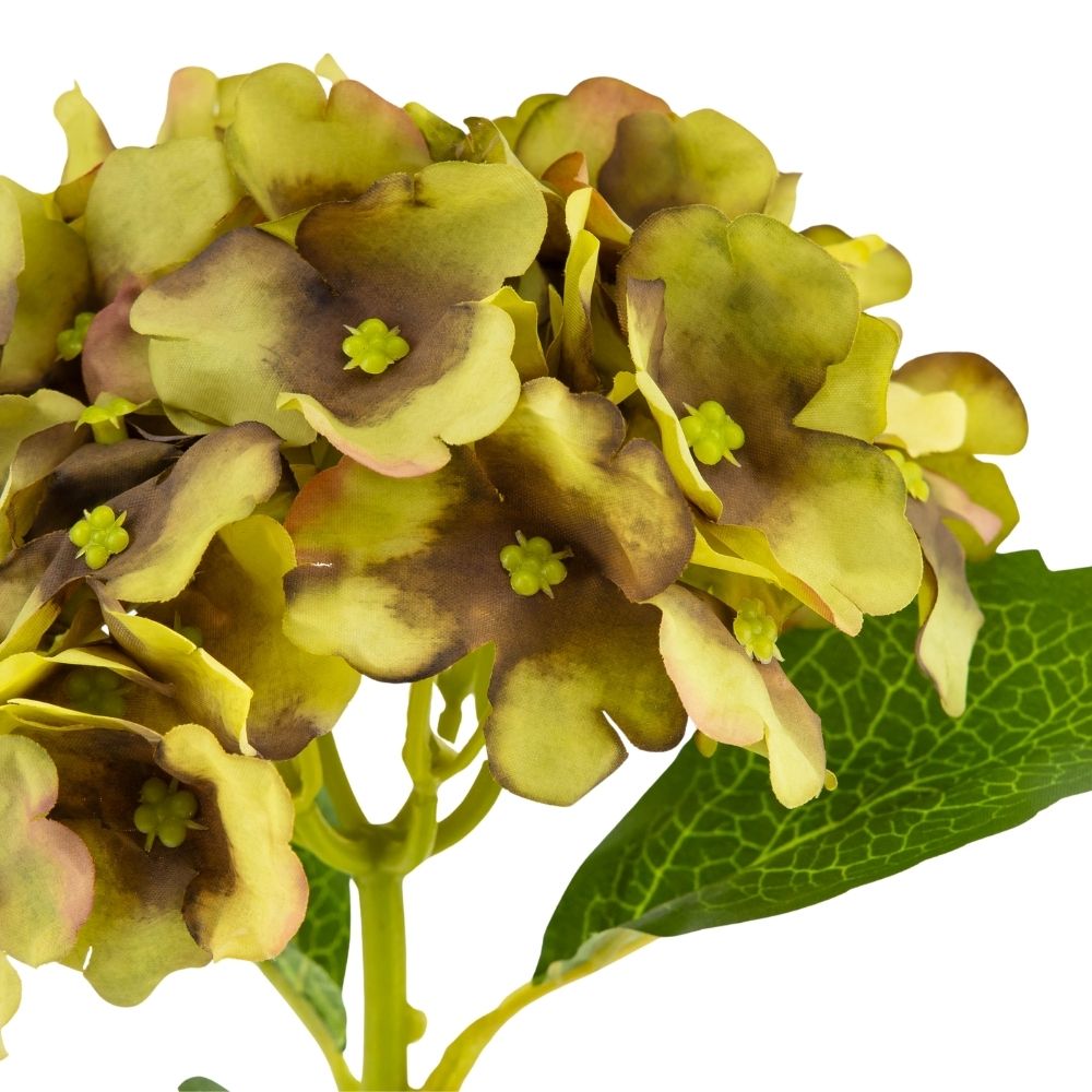 ФОТО КАРТИНКИ ЗОБРАЖЕННЯ Букет "Гортензія кімнатна", салатова BOHODAR 8114-013 РОЗДРІБ ОПТ ГУРТ ГУРТОМ ОПТОМ! З ЄВРОПИ! ЯКІСТЬ! Купити Львів Характеристики Ціна Оплата Доставка "БОГОДАР" ІНТЕРНЕТ-МАГАЗИН Огляд Рейтинг Порівняння Як вибрати Якісний