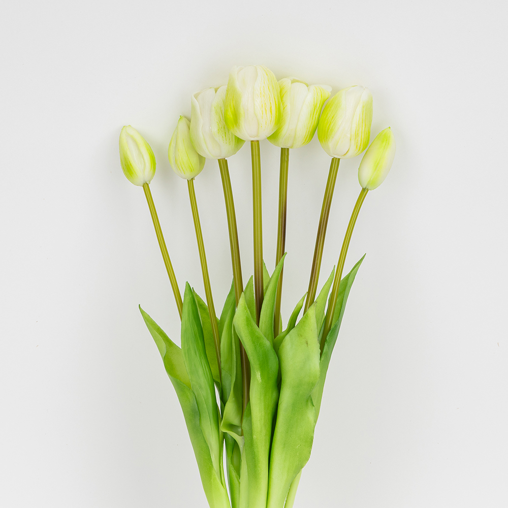 ФОТО КАРТИНКИ ЗОБРАЖЕННЯ Букет латексних тюльпанів, 7 бутонів, біло-зелений, 48 см BOHODAR 2026-003/white РОЗДРІБ ОПТ ГУРТ ГУРТОМ ОПТОМ! З ЄВРОПИ! ЯКІСТЬ! Купити Львів Характеристики Ціна Оплата Доставка "БОГОДАР" ІНТЕРНЕТ-МАГАЗИН Огляд Рейтинг Порівняння Як вибрати Якісний