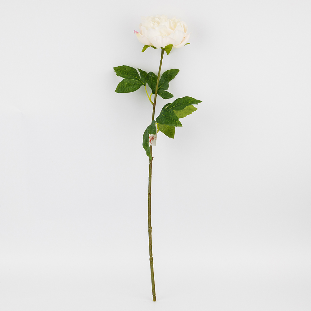 ФОТО КАРТИНКИ ЗОБРАЖЕННЯ Штучна півонія з ефектом живого дотику, біла, 60 см BOHODAR 2025-005 РОЗДРІБ ОПТ ГУРТ ГУРТОМ ОПТОМ! З ЄВРОПИ! ЯКІСТЬ! Купити Львів Характеристики Ціна Оплата Доставка "БОГОДАР" ІНТЕРНЕТ-МАГАЗИН Огляд Рейтинг Порівняння Як вибрати Якісний