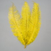 ФОТО КАРТИНКИ ЗОБРАЖЕННЯ Страусине перо 55 см жовто-зелений BOHODAR 8501-001/green РОЗДРІБ ОПТ ГУРТ ГУРТОМ ОПТОМ! З ЄВРОПИ! ЯКІСТЬ! Купити Львів Характеристики Ціна Оплата Доставка "БОГОДАР" ІНТЕРНЕТ-МАГАЗИН Огляд Рейтинг Порівняння Як вибрати Якісний