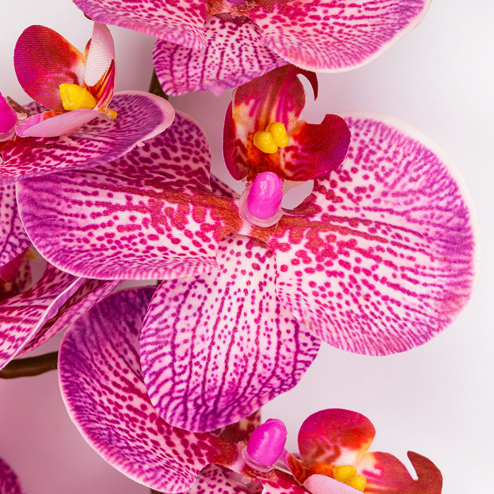 ФОТО КАРТИНКИ ЗОБРАЖЕННЯ Латексна орхідея, рожева, 86 см ВРЯТОВАНА ПОЗИЦІЯ BOHODAR 9259-106 РОЗДРІБ ОПТ ГУРТ ГУРТОМ ОПТОМ! З ЄВРОПИ! ЯКІСТЬ! Купити Львів Характеристики Ціна Оплата Доставка "БОГОДАР" ІНТЕРНЕТ-МАГАЗИН Огляд Рейтинг Порівняння Як вибрати Якісний