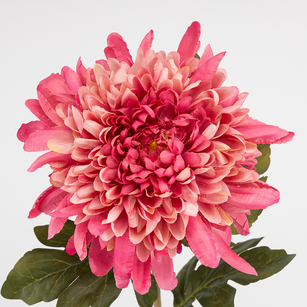 ФОТО КАРТИНКИ ЗОБРАЖЕННЯ Штучна хризантема, рожева, 75 см BOHODAR 2026-012/mauve РОЗДРІБ ОПТ ГУРТ ГУРТОМ ОПТОМ! З ЄВРОПИ! ЯКІСТЬ! Купити Львів Характеристики Ціна Оплата Доставка "БОГОДАР" ІНТЕРНЕТ-МАГАЗИН Огляд Рейтинг Порівняння Як вибрати Якісний