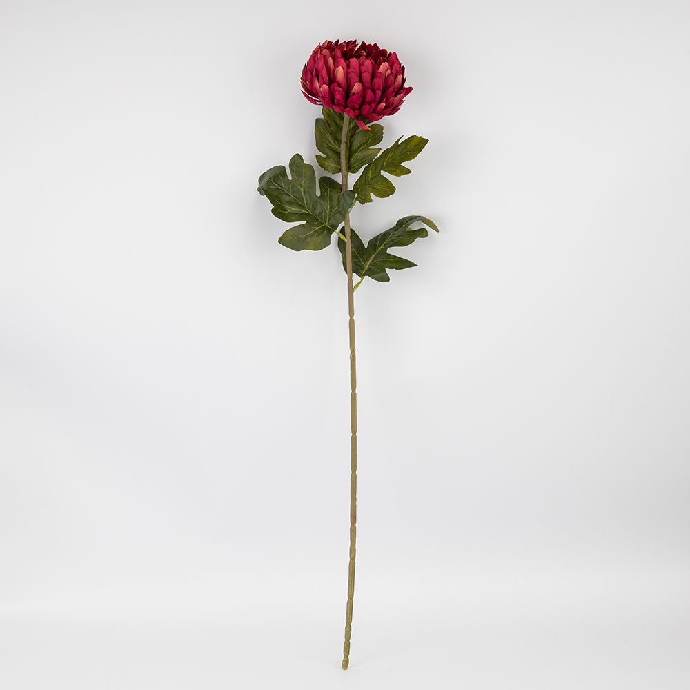 ФОТО КАРТИНКИ ЗОБРАЖЕННЯ Штучна хризантема, бордова, 72 см BOHODAR 2026-011/wine РОЗДРІБ ОПТ ГУРТ ГУРТОМ ОПТОМ! З ЄВРОПИ! ЯКІСТЬ! Купити Львів Характеристики Ціна Оплата Доставка "БОГОДАР" ІНТЕРНЕТ-МАГАЗИН Огляд Рейтинг Порівняння Як вибрати Якісний