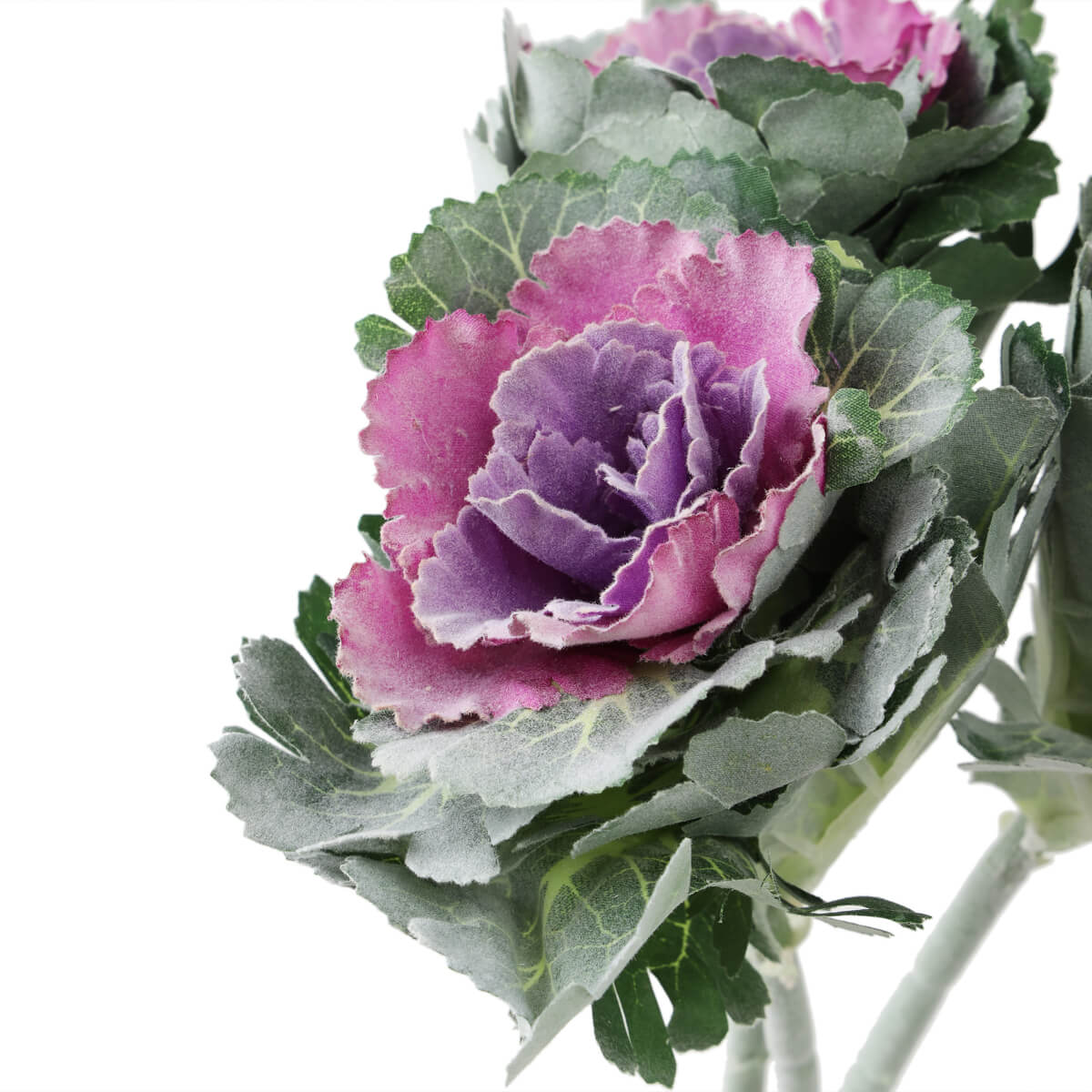 ФОТО КАРТИНКИ ЗОБРАЖЕННЯ Брасика "Грація", фіолетова BOHODAR 6018-083 РОЗДРІБ ОПТ ГУРТ ГУРТОМ ОПТОМ! З ЄВРОПИ! ЯКІСТЬ! Купити Львів Характеристики Ціна Оплата Доставка "БОГОДАР" ІНТЕРНЕТ-МАГАЗИН Огляд Рейтинг Порівняння Як вибрати Якісний