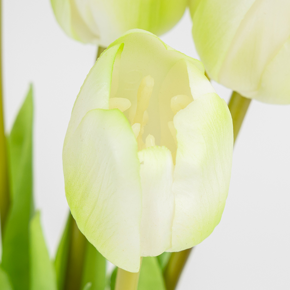 ФОТО КАРТИНКИ ЗОБРАЖЕННЯ Букет латексних тюльпанів, 5 бутонів, біло-зелений, 45 см BOHODAR 2026-002/white РОЗДРІБ ОПТ ГУРТ ГУРТОМ ОПТОМ! З ЄВРОПИ! ЯКІСТЬ! Купити Львів Характеристики Ціна Оплата Доставка "БОГОДАР" ІНТЕРНЕТ-МАГАЗИН Огляд Рейтинг Порівняння Як вибрати Якісний