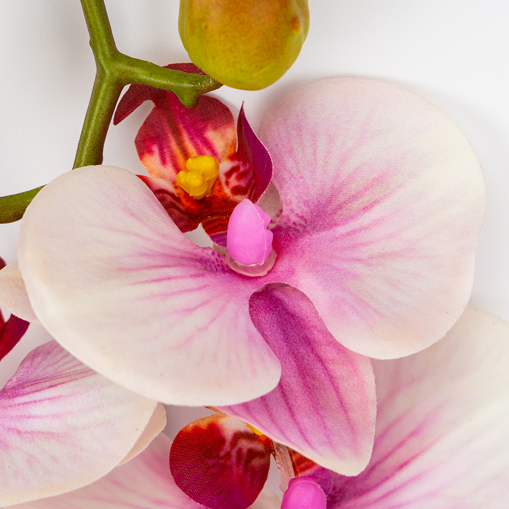 ФОТО КАРТИНКИ ЗОБРАЖЕННЯ Латексна орхідея, біло-рожева, 86 см ВРЯТОВАНА ПОЗИЦІЯ BOHODAR 9259-103 РОЗДРІБ ОПТ ГУРТ ГУРТОМ ОПТОМ! З ЄВРОПИ! ЯКІСТЬ! Купити Львів Характеристики Ціна Оплата Доставка "БОГОДАР" ІНТЕРНЕТ-МАГАЗИН Огляд Рейтинг Порівняння Як вибрати Якісний