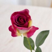 Троянди штучні