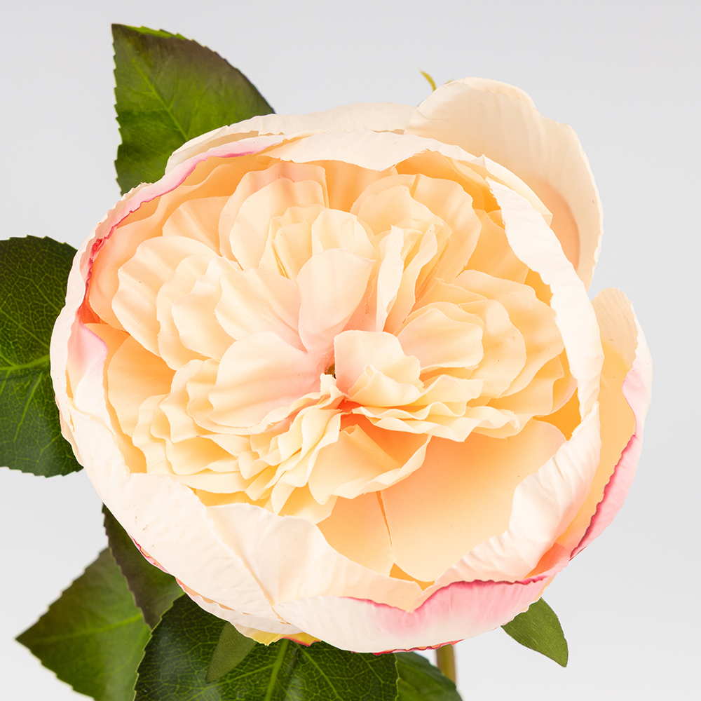 ФОТО КАРТИНКИ ЗОБРАЖЕННЯ Троянда піоновидна, ніжно-рожева, 61 см BOHODAR 2026-018/pink РОЗДРІБ ОПТ ГУРТ ГУРТОМ ОПТОМ! З ЄВРОПИ! ЯКІСТЬ! Купити Львів Характеристики Ціна Оплата Доставка "БОГОДАР" ІНТЕРНЕТ-МАГАЗИН Огляд Рейтинг Порівняння Як вибрати Якісний