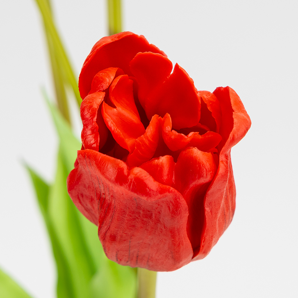 ФОТО КАРТИНКИ ЗОБРАЖЕННЯ Букет латексних тюльпанів, 5 бутонів, червоний, 49 см BOHODAR 2026-005/red РОЗДРІБ ОПТ ГУРТ ГУРТОМ ОПТОМ! З ЄВРОПИ! ЯКІСТЬ! Купити Львів Характеристики Ціна Оплата Доставка "БОГОДАР" ІНТЕРНЕТ-МАГАЗИН Огляд Рейтинг Порівняння Як вибрати Якісний