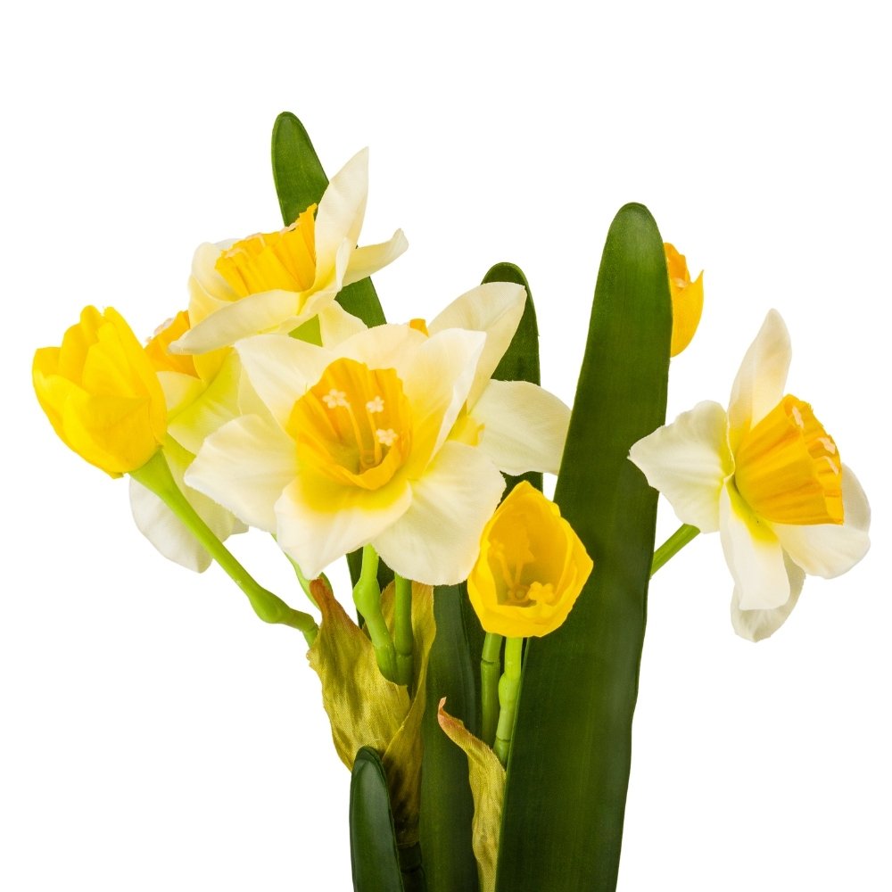 ФОТО КАРТИНКИ ЗОБРАЖЕННЯ Букет нарцисів “Весняне пробудження”, білий, 56 см BOHODAR 9214-001 РОЗДРІБ ОПТ ГУРТ ГУРТОМ ОПТОМ! З ЄВРОПИ! ЯКІСТЬ! Купити Львів Характеристики Ціна Оплата Доставка "БОГОДАР" ІНТЕРНЕТ-МАГАЗИН Огляд Рейтинг Порівняння Як вибрати Якісний