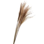 ФОТО КАРТИНКИ ЗОБРАЖЕННЯ Ковила, стабілізована BOHODAR 8213-049 РОЗДРІБ ОПТ ГУРТ ГУРТОМ ОПТОМ! З ЄВРОПИ! ЯКІСТЬ! Купити Львів Характеристики Ціна Оплата Доставка "БОГОДАР" ІНТЕРНЕТ-МАГАЗИН Огляд Рейтинг Порівняння Як вибрати Якісний