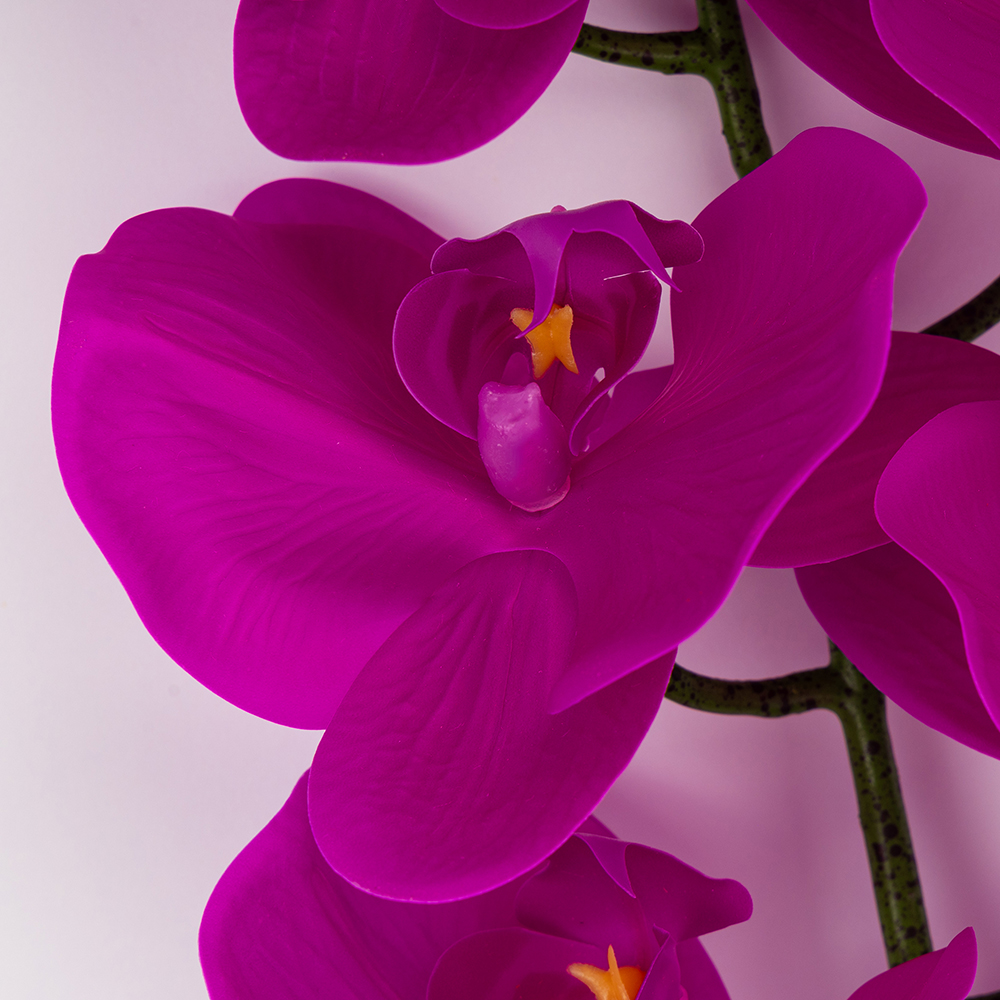 ФОТО КАРТИНКИ ЗОБРАЖЕННЯ Латексна орхідея, фіолетоваа, 95 см BOHODAR 2026-021/violet РОЗДРІБ ОПТ ГУРТ ГУРТОМ ОПТОМ! З ЄВРОПИ! ЯКІСТЬ! Купити Львів Характеристики Ціна Оплата Доставка "БОГОДАР" ІНТЕРНЕТ-МАГАЗИН Огляд Рейтинг Порівняння Як вибрати Якісний