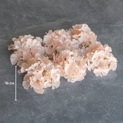 ФОТО КАРТИНКИ ЗОБРАЖЕННЯ Головка гортензії, кремова, 16 см BOHODAR 9222-002 РОЗДРІБ ОПТ ГУРТ ГУРТОМ ОПТОМ! З ЄВРОПИ! ЯКІСТЬ! Купити Львів Характеристики Ціна Оплата Доставка "БОГОДАР" ІНТЕРНЕТ-МАГАЗИН Огляд Рейтинг Порівняння Як вибрати Якісний