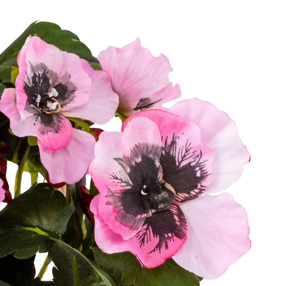 ФОТО КАРТИНКИ ЗОБРАЖЕННЯ Братки рожеві, 25 см BOHODAR 106F/pink РОЗДРІБ ОПТ ГУРТ ГУРТОМ ОПТОМ! З ЄВРОПИ! ЯКІСТЬ! Купити Львів Характеристики Ціна Оплата Доставка "БОГОДАР" ІНТЕРНЕТ-МАГАЗИН Огляд Рейтинг Порівняння Як вибрати Якісний