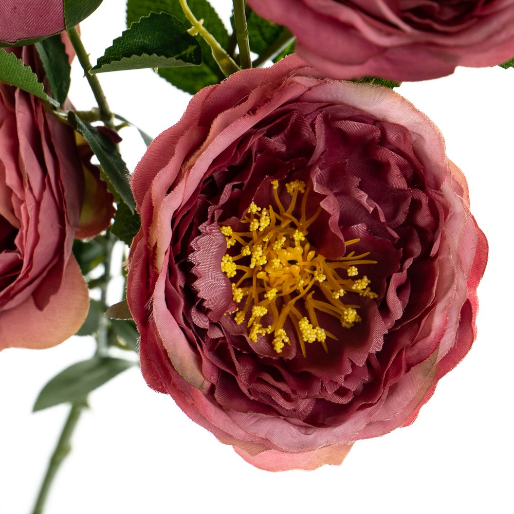 ФОТО КАРТИНКИ ЗОБРАЖЕННЯ Букет "Півонії польові", темно-рожевий BOHODAR 8114-006 РОЗДРІБ ОПТ ГУРТ ГУРТОМ ОПТОМ! З ЄВРОПИ! ЯКІСТЬ! Купити Львів Характеристики Ціна Оплата Доставка "БОГОДАР" ІНТЕРНЕТ-МАГАЗИН Огляд Рейтинг Порівняння Як вибрати Якісний