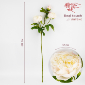 ФОТО КАРТИНКИ ЗОБРАЖЕННЯ Штучна півонія з 3 бутонами з ефектом живого дотику, біла, 80 см BOHODAR 2025-009 РОЗДРІБ ОПТ ГУРТ ГУРТОМ ОПТОМ! З ЄВРОПИ! ЯКІСТЬ! Купити Львів Характеристики Ціна Оплата Доставка "БОГОДАР" ІНТЕРНЕТ-МАГАЗИН Огляд Рейтинг Порівняння Як вибрати Якісний