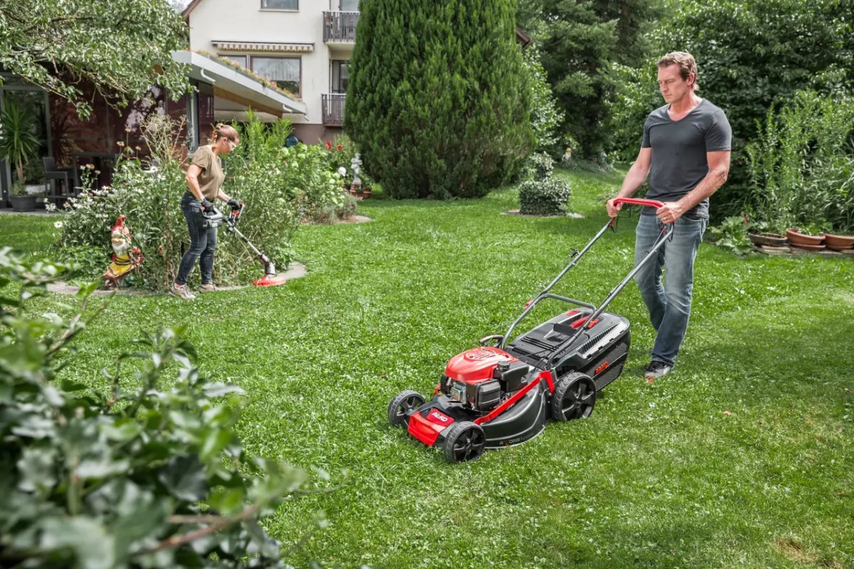 ФОТО КАРТИНКИ ЗОБРАЖЕННЯ Професійна бензинова газонокосарка для трави AL-KO Comfort 51.0 SP-A (119944) самохідна функція 4 в 1 РОЗДРІБ ОПТ ГУРТ ГУРТОМ ОПТОМ! З ЄВРОПИ! ЯКІСТЬ! Купити Львів Характеристики Ціна Оплата Доставка "БОГОДАР" ІНТЕРНЕТ-МАГАЗИН Огляд Рейтинг Порівняння Як вибрати Якісний