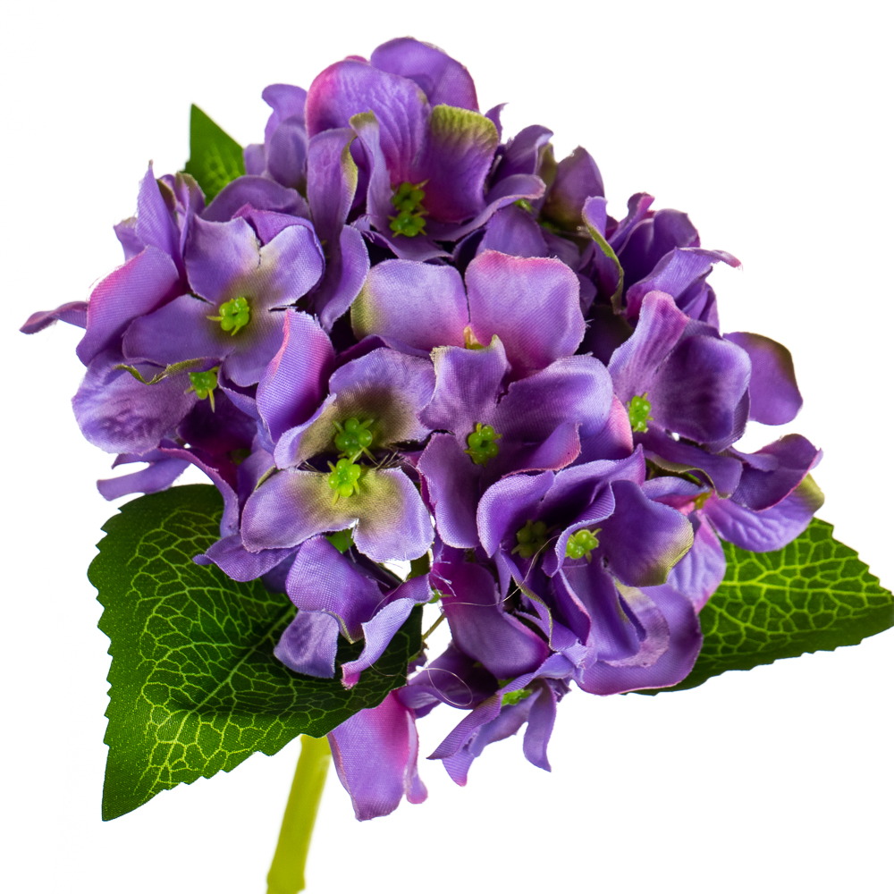 ФОТО КАРТИНКИ ЗОБРАЖЕННЯ Букет "Гортензія кімнатна", синя BOHODAR 8114-011 РОЗДРІБ ОПТ ГУРТ ГУРТОМ ОПТОМ! З ЄВРОПИ! ЯКІСТЬ! Купити Львів Характеристики Ціна Оплата Доставка "БОГОДАР" ІНТЕРНЕТ-МАГАЗИН Огляд Рейтинг Порівняння Як вибрати Якісний