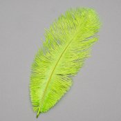 ФОТО КАРТИНКИ ЗОБРАЖЕННЯ Страусине перо 25-30 см салатовий BOHODAR 8501-002/light-green РОЗДРІБ ОПТ ГУРТ ГУРТОМ ОПТОМ! З ЄВРОПИ! ЯКІСТЬ! Купити Львів Характеристики Ціна Оплата Доставка "БОГОДАР" ІНТЕРНЕТ-МАГАЗИН Огляд Рейтинг Порівняння Як вибрати Якісний