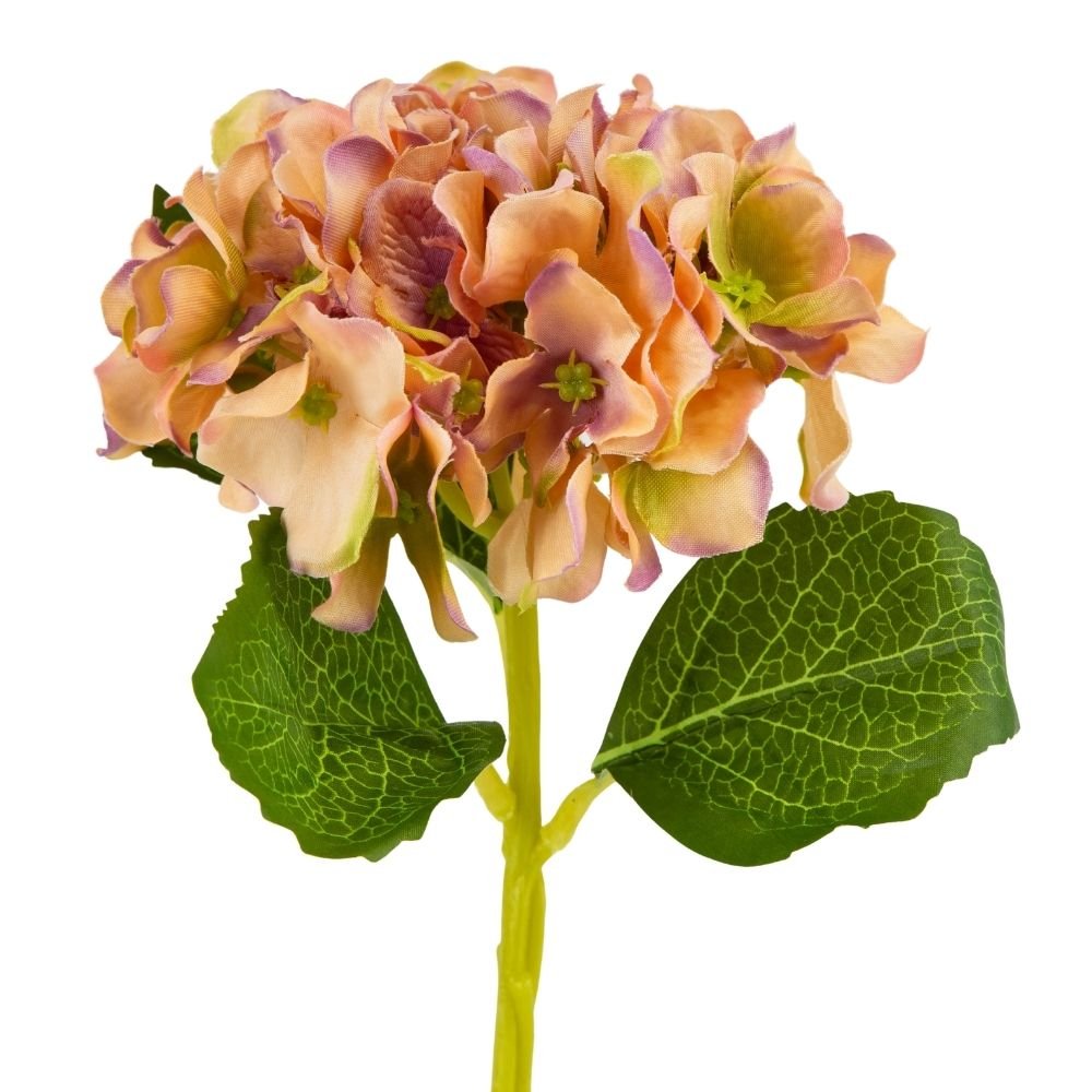 ФОТО КАРТИНКИ ЗОБРАЖЕННЯ Букет "Гортензія кімнатна", помаранчева BOHODAR 8114-012 РОЗДРІБ ОПТ ГУРТ ГУРТОМ ОПТОМ! З ЄВРОПИ! ЯКІСТЬ! Купити Львів Характеристики Ціна Оплата Доставка "БОГОДАР" ІНТЕРНЕТ-МАГАЗИН Огляд Рейтинг Порівняння Як вибрати Якісний