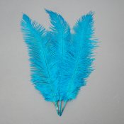 ФОТО КАРТИНКИ ЗОБРАЖЕННЯ Страусине перо 55 см блакитний BOHODAR 8501-001/blue РОЗДРІБ ОПТ ГУРТ ГУРТОМ ОПТОМ! З ЄВРОПИ! ЯКІСТЬ! Купити Львів Характеристики Ціна Оплата Доставка "БОГОДАР" ІНТЕРНЕТ-МАГАЗИН Огляд Рейтинг Порівняння Як вибрати Якісний