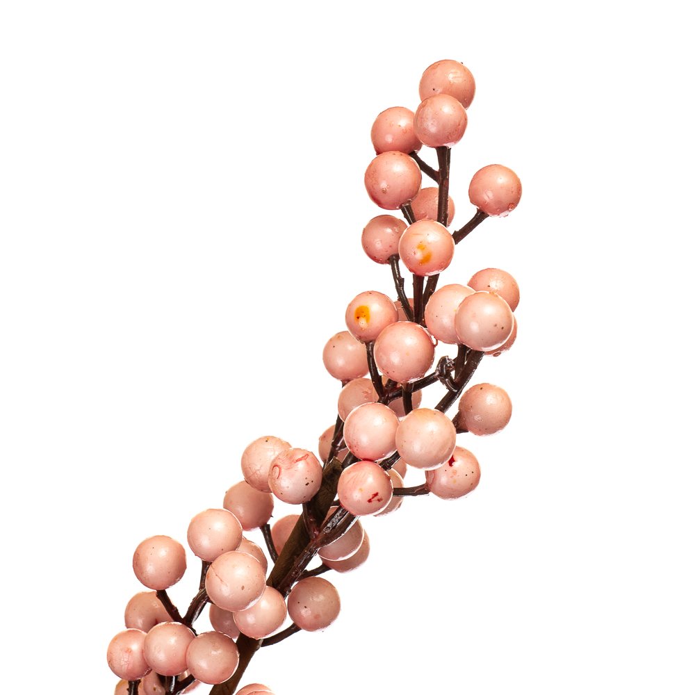 ФОТО КАРТИНКИ ЗОБРАЖЕННЯ Кизильник Корал , рожевий 1 м BOHODAR 5000-004/PINK РОЗДРІБ ОПТ ГУРТ ГУРТОМ ОПТОМ! З ЄВРОПИ! ЯКІСТЬ! Купити Львів Характеристики Ціна Оплата Доставка "БОГОДАР" ІНТЕРНЕТ-МАГАЗИН Огляд Рейтинг Порівняння Як вибрати Якісний