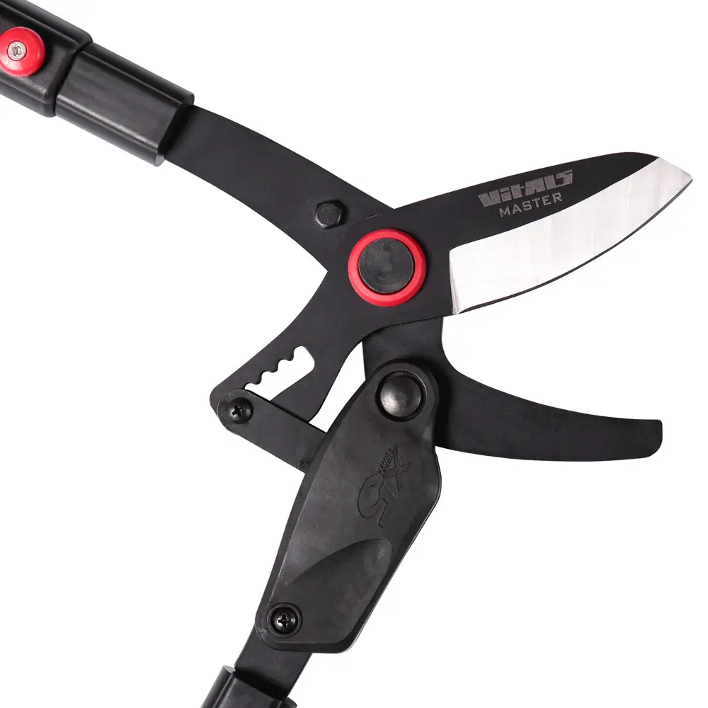 ФОТО КАРТИНКИ ЗОБРАЖЕННЯ Гілкоріз телескопічний з храповим механізмом VITALS MASTER LS-910-02RT : діаметр різу 40 мм, довжина 630-910 мм, вага 1.540 кг РОЗДРІБ ОПТ ГУРТ ГУРТОМ ОПТОМ! З ЄВРОПИ! ЯКІСТЬ! Купити Львів Характеристики Ціна Оплата Доставка "БОГОДАР" ІНТЕРНЕТ-МАГАЗИН Огляд Рейтинг Порівняння Як вибрати Якісний