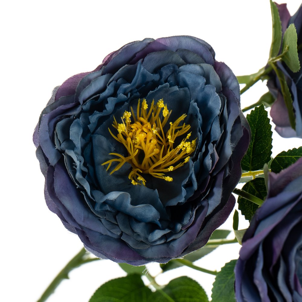 ФОТО КАРТИНКИ ЗОБРАЖЕННЯ Букет "Півонії польові", синій BOHODAR 8114-009 РОЗДРІБ ОПТ ГУРТ ГУРТОМ ОПТОМ! З ЄВРОПИ! ЯКІСТЬ! Купити Львів Характеристики Ціна Оплата Доставка "БОГОДАР" ІНТЕРНЕТ-МАГАЗИН Огляд Рейтинг Порівняння Як вибрати Якісний