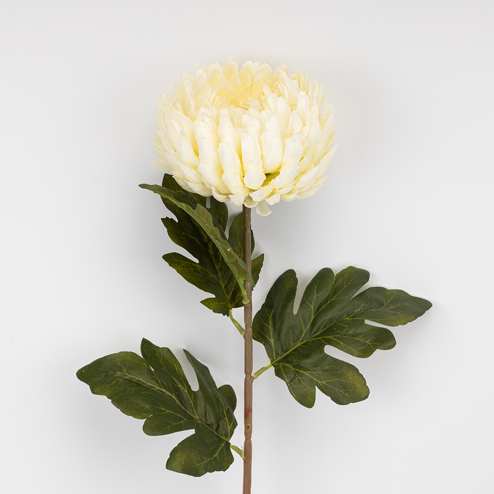 ФОТО КАРТИНКИ ЗОБРАЖЕННЯ Штучна хризантема, кремова, 72 см BOHODAR 2026-011/cream РОЗДРІБ ОПТ ГУРТ ГУРТОМ ОПТОМ! З ЄВРОПИ! ЯКІСТЬ! Купити Львів Характеристики Ціна Оплата Доставка "БОГОДАР" ІНТЕРНЕТ-МАГАЗИН Огляд Рейтинг Порівняння Як вибрати Якісний