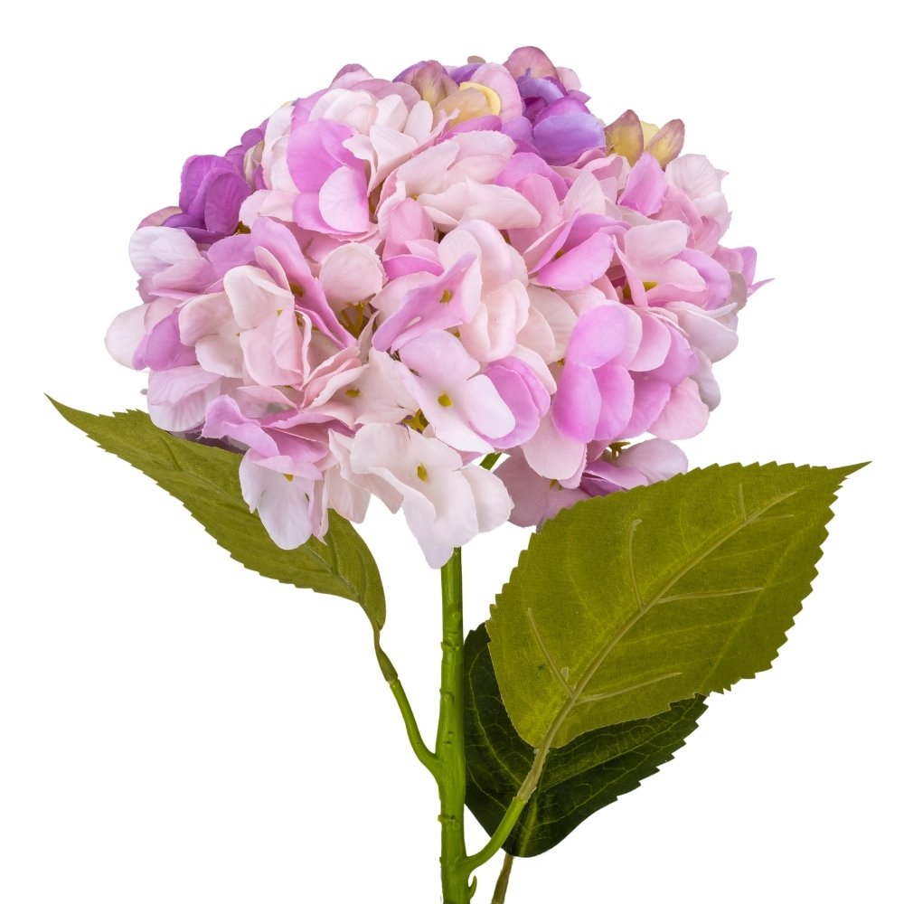 ФОТО КАРТИНКИ ЗОБРАЖЕННЯ Гортензія "Анабель", бузкова, 57 см BOHODAR 9160-014 РОЗДРІБ ОПТ ГУРТ ГУРТОМ ОПТОМ! З ЄВРОПИ! ЯКІСТЬ! Купити Львів Характеристики Ціна Оплата Доставка "БОГОДАР" ІНТЕРНЕТ-МАГАЗИН Огляд Рейтинг Порівняння Як вибрати Якісний