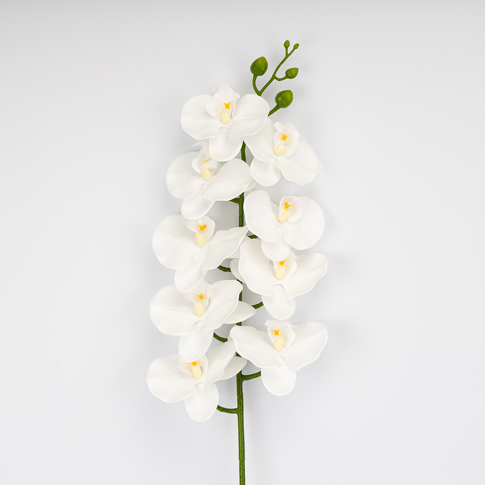 ФОТО КАРТИНКИ ЗОБРАЖЕННЯ Латексна орхідея, біла, 95 см BOHODAR 2026-021/white РОЗДРІБ ОПТ ГУРТ ГУРТОМ ОПТОМ! З ЄВРОПИ! ЯКІСТЬ! Купити Львів Характеристики Ціна Оплата Доставка "БОГОДАР" ІНТЕРНЕТ-МАГАЗИН Огляд Рейтинг Порівняння Як вибрати Якісний