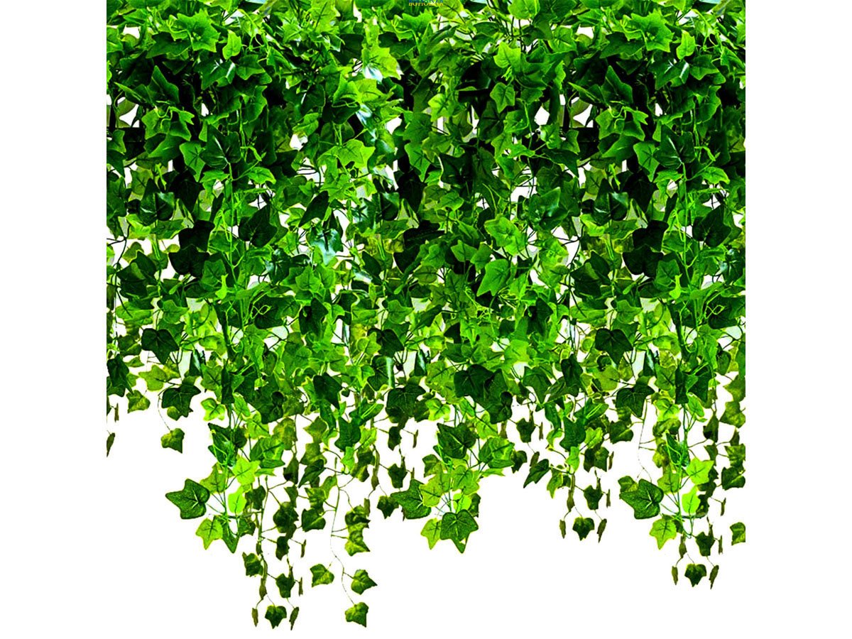 ФОТО КАРТИНКИ ЗОБРАЖЕННЯ Штучний плющ GARDLOV 19732 6.3 м листя лоза гірлянда штучні квіти штучна зелень для будинку квартири ресторану стін балкону букетів і т.п. РОЗДРІБ ОПТ ГУРТ ГУРТОМ ОПТОМ! З ЄВРОПИ! ЯКІСТЬ! Купити Львів Характеристики Ціна Оплата Доставка "БОГОДАР" ІНТЕРНЕТ-МАГАЗИН Огляд Рейтинг Порівняння Як вибрати Якісний