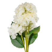 ФОТО КАРТИНКИ ЗОБРАЖЕННЯ Букет гортензій, 5 бутонів, кремовий, 52 см BOHODAR 9207-019 РОЗДРІБ ОПТ ГУРТ ГУРТОМ ОПТОМ! З ЄВРОПИ! ЯКІСТЬ! Купити Львів Характеристики Ціна Оплата Доставка "БОГОДАР" ІНТЕРНЕТ-МАГАЗИН Огляд Рейтинг Порівняння Як вибрати Якісний