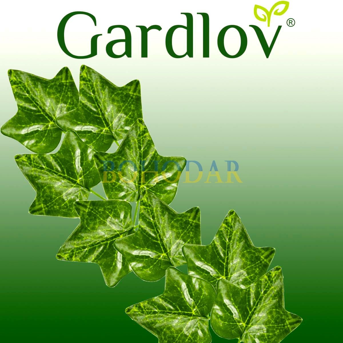 ФОТО КАРТИНКИ ЗОБРАЖЕННЯ Штучний плющ GARDLOV 19732 6.3 м листя лоза гірлянда штучні квіти штучна зелень для будинку квартири ресторану стін балкону букетів і т.п. РОЗДРІБ ОПТ ГУРТ ГУРТОМ ОПТОМ! З ЄВРОПИ! ЯКІСТЬ! Купити Львів Характеристики Ціна Оплата Доставка "БОГОДАР" ІНТЕРНЕТ-МАГАЗИН Огляд Рейтинг Порівняння Як вибрати Якісний