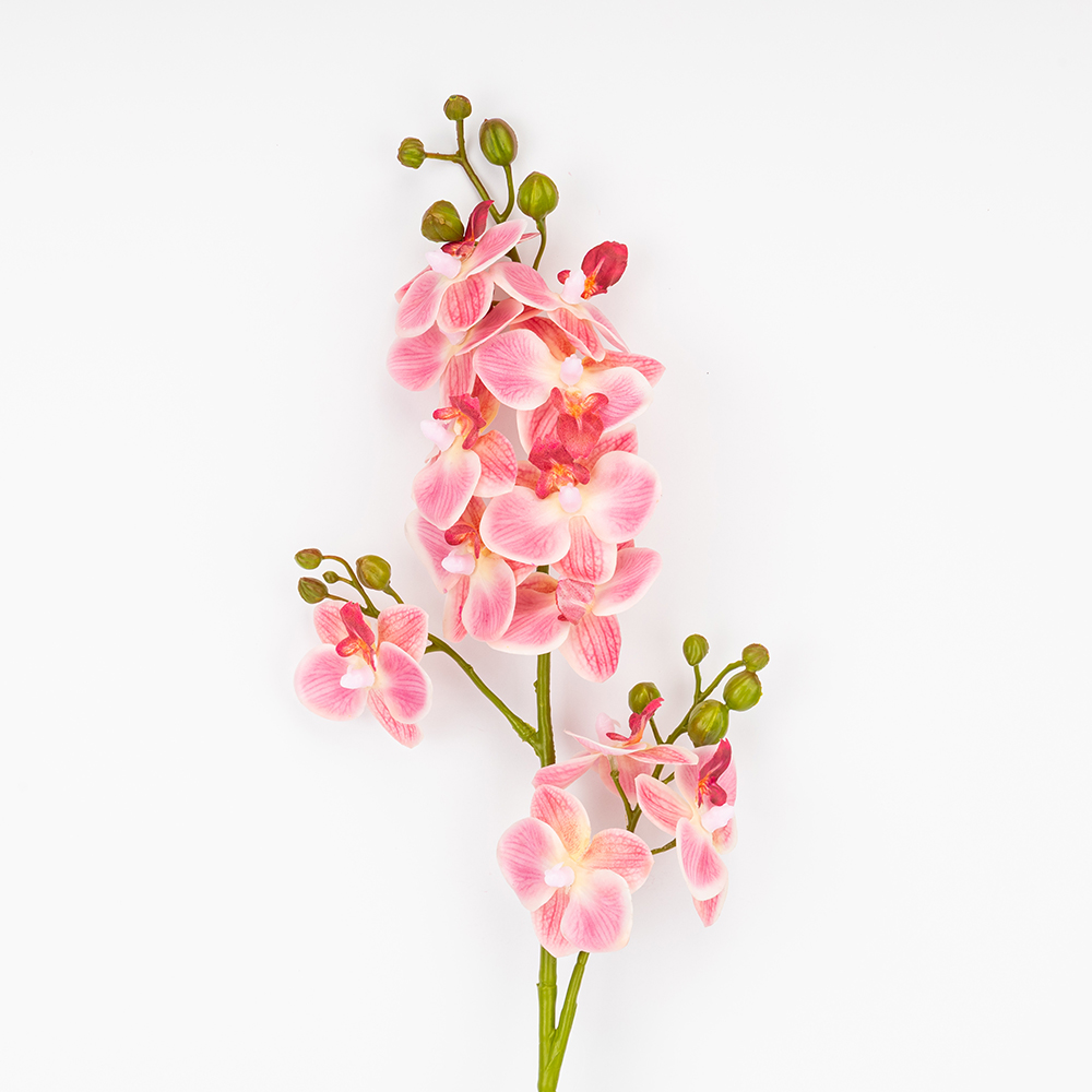 ФОТО КАРТИНКИ ЗОБРАЖЕННЯ Латексна орхідея, рожева, 72 см ВРЯТОВАНА ПОЗИЦІЯ BOHODAR 9259-139 РОЗДРІБ ОПТ ГУРТ ГУРТОМ ОПТОМ! З ЄВРОПИ! ЯКІСТЬ! Купити Львів Характеристики Ціна Оплата Доставка "БОГОДАР" ІНТЕРНЕТ-МАГАЗИН Огляд Рейтинг Порівняння Як вибрати Якісний